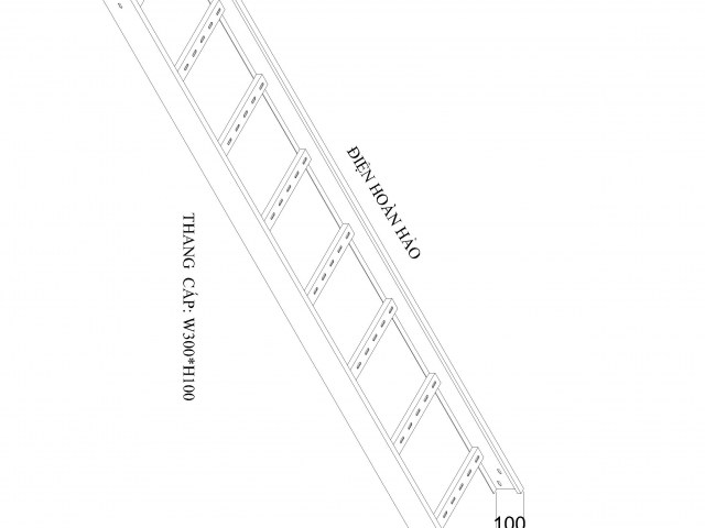 Thang cáp W300 H100